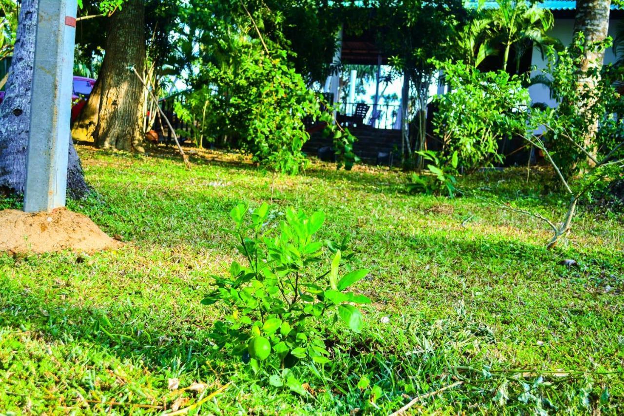 Helios Beach Resort Tangalle Luaran gambar